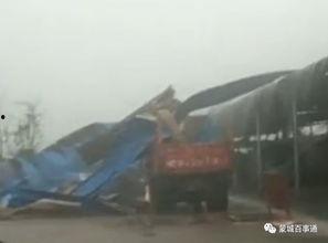 狂风暴雨爆料视频大全集,视频大全集深度解析  第3张