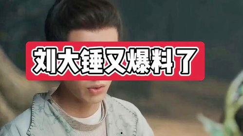 刘大锤2025最新爆料,揭秘娱乐圈惊天秘密  第3张