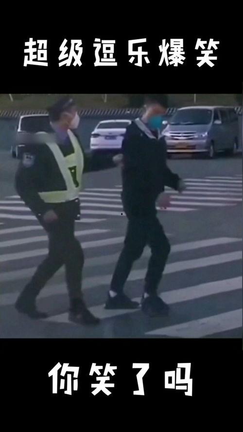 逗乐爆料视频大全最新版,最新版笑料横生，欢乐无限  第2张